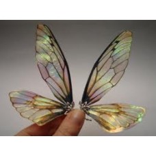 Dragonfly Painting Pack